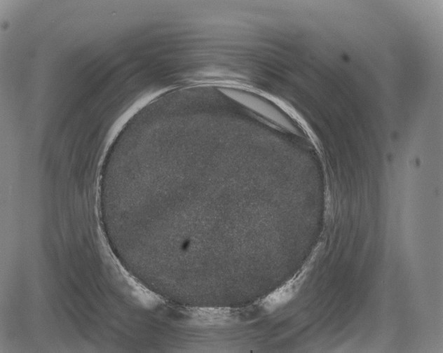 X0000085041333200703121424