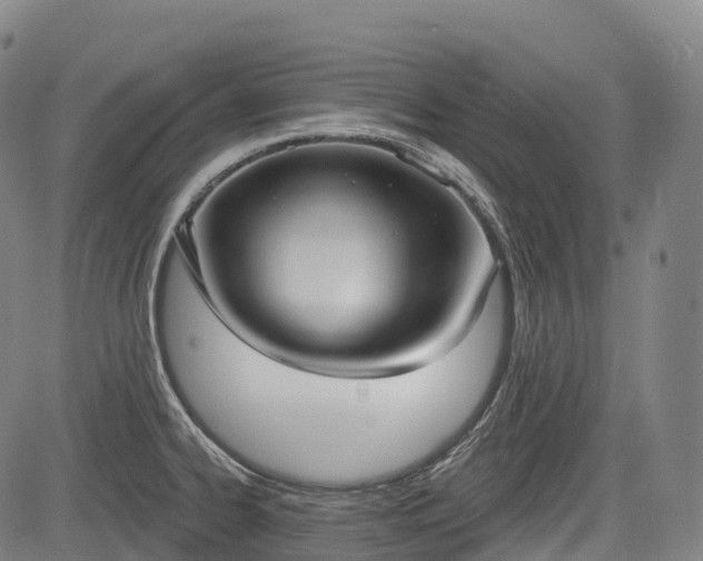 X0000085041334200703121424