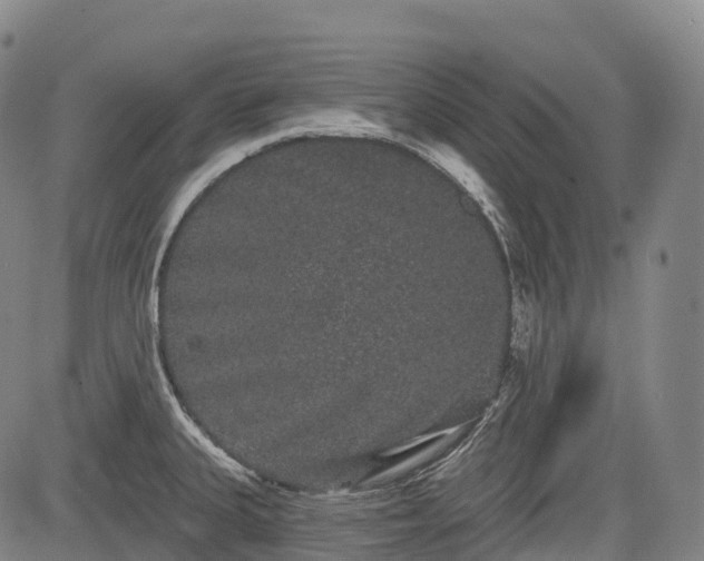 X0000085041335200703121424