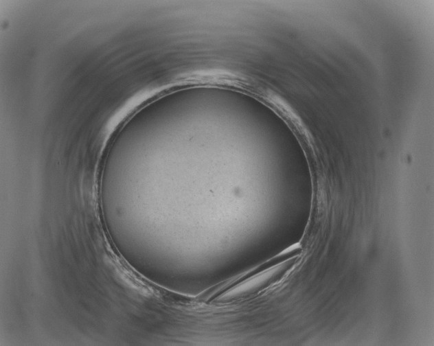 X0000085041336200703121424