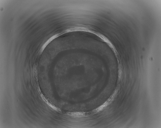 X0000085041337200703121424