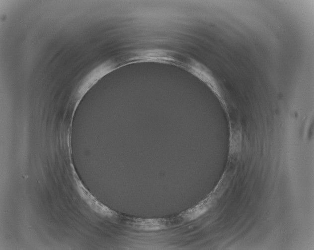 X0000085041338200703121424