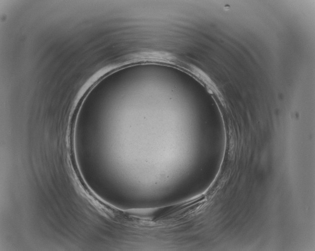 X0000085041339200703121424