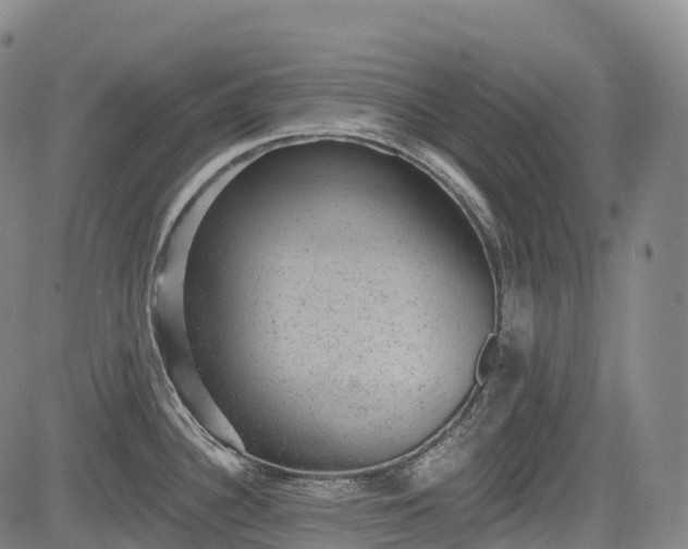 X0000085041340200703121424