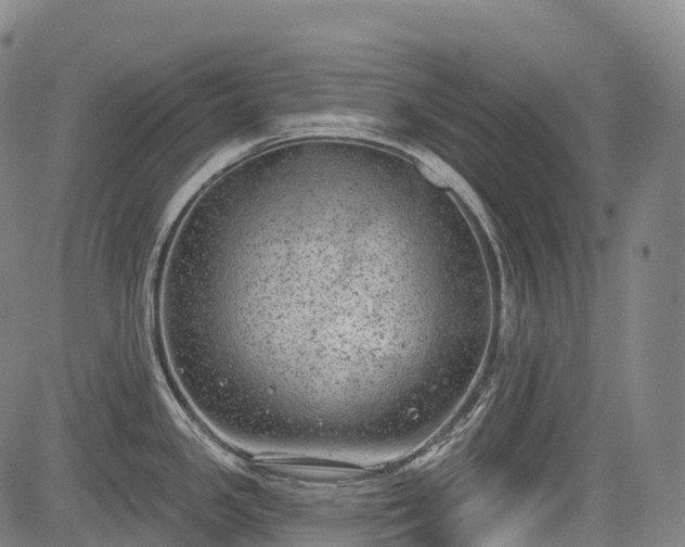 X0000085041341200703121424