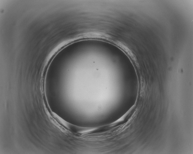 X0000085041342200703121424