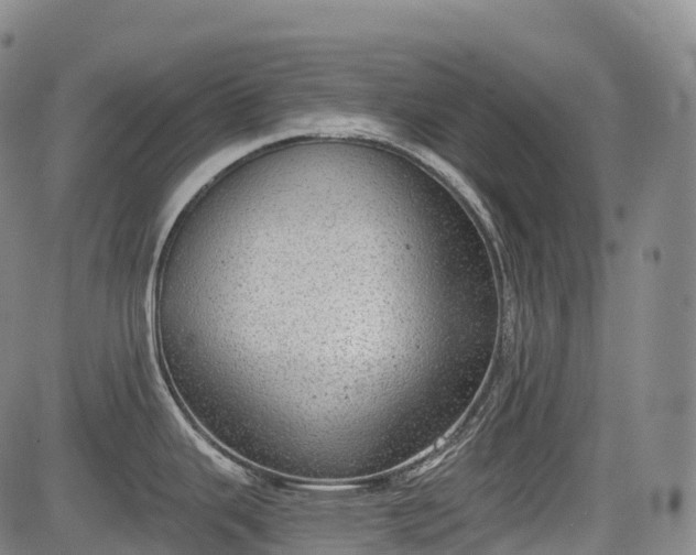 X0000085041343200703121424