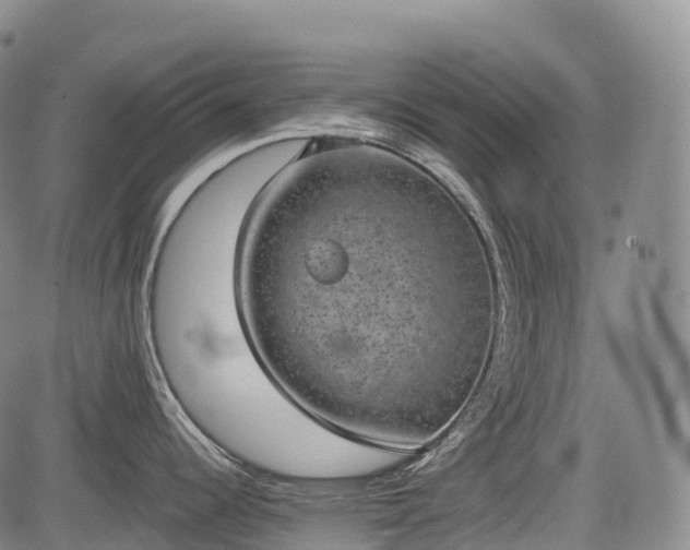 X0000085041344200703121424