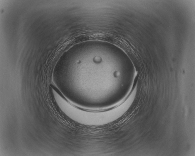 X0000085041345200703121423