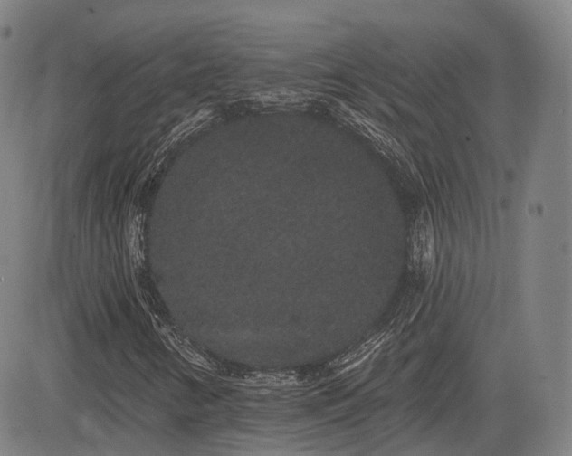 X0000085041346200703121423