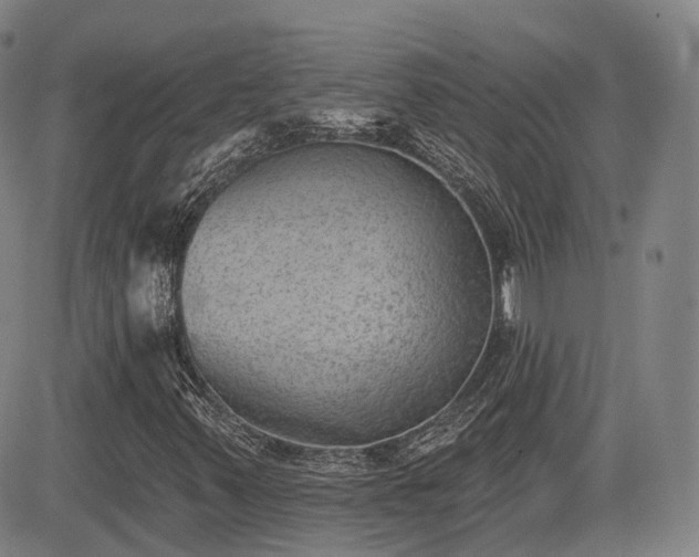 X0000085041347200703121423