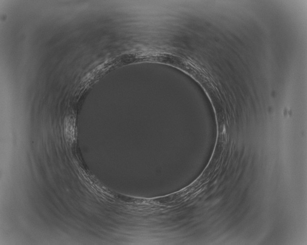 X0000085041348200703121423