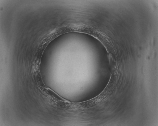 X0000085041349200703121423