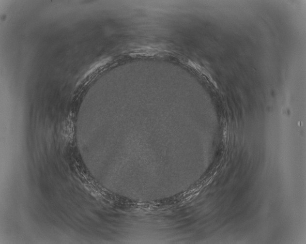 X0000085041350200703121423