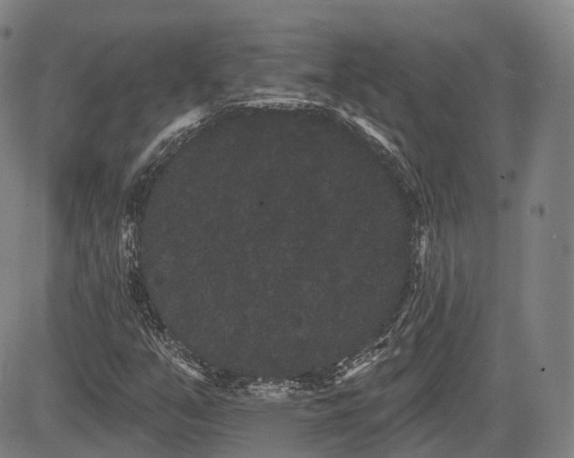 X0000085041351200703121423