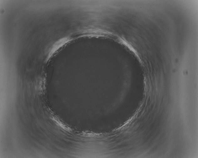 X0000085041352200703121423