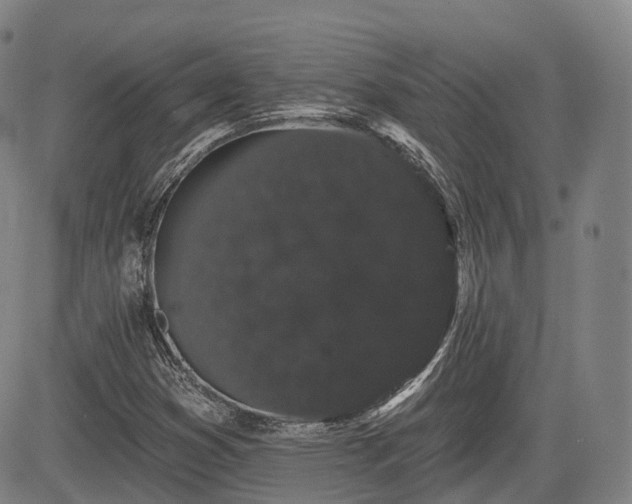 X0000085041353200703121423