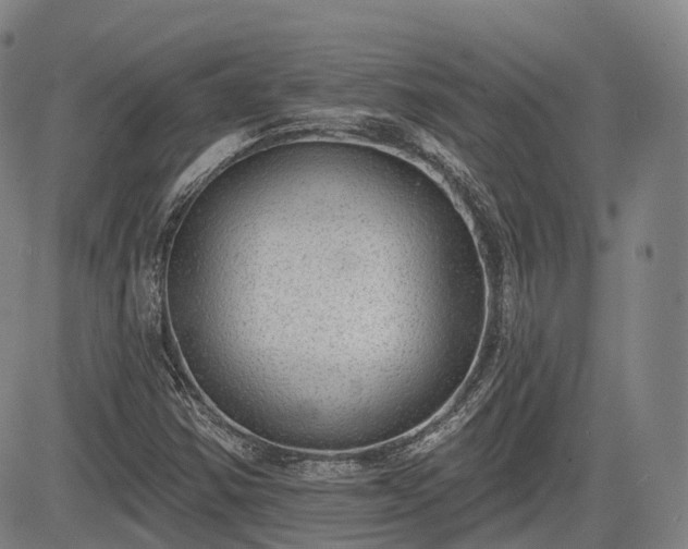 X0000085041354200703121423