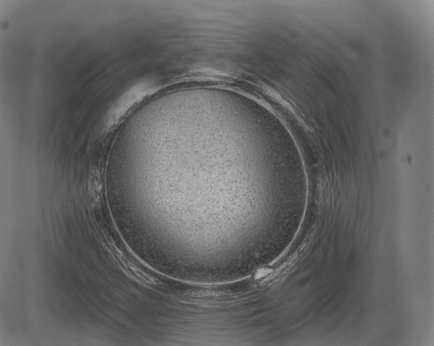 X0000085041355200703121423