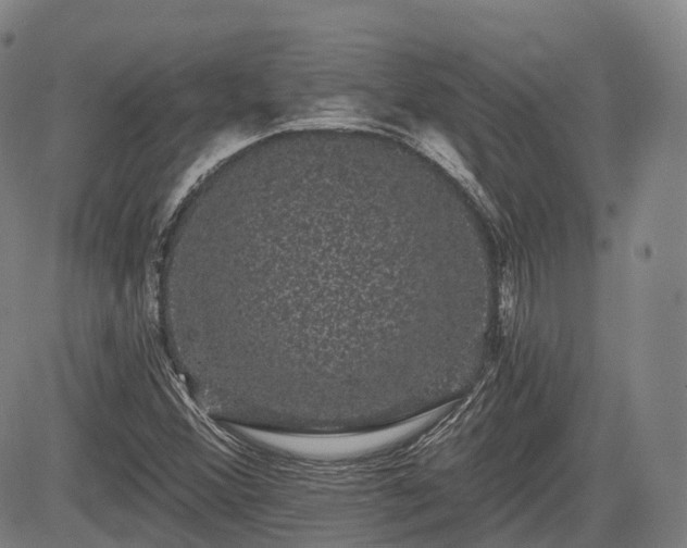 X0000085041356200703121423