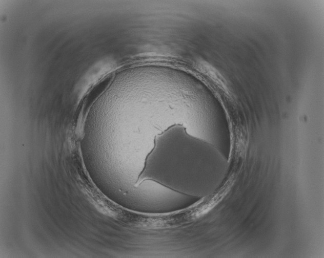 X0000085041357200703121423