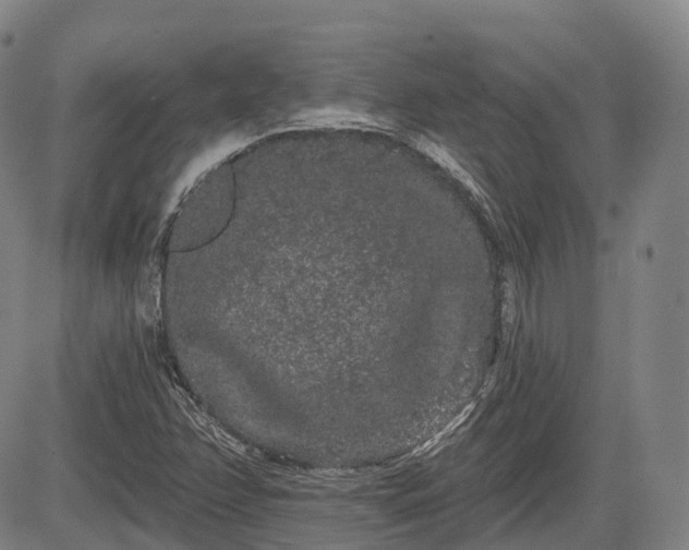 X0000085041358200703121423