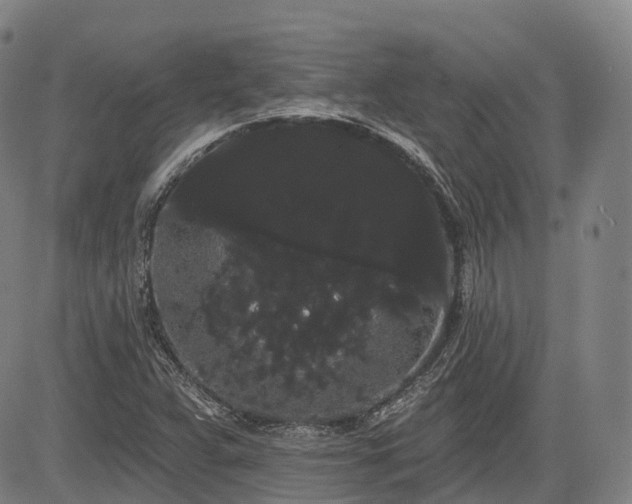 X0000085041359200703121423