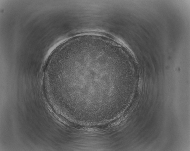 X0000085041360200703121423