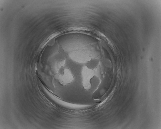 X0000085041361200703121423