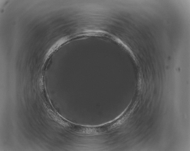 X0000085041362200703121423