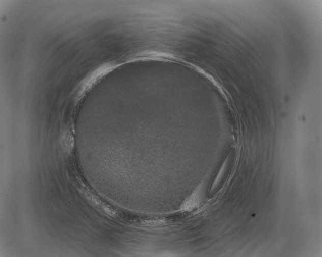 X0000085041363200703121423