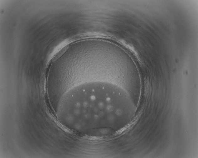 X0000085041365200703121423