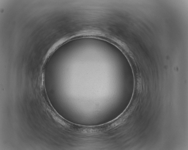 X0000085041366200703121423