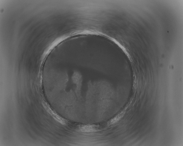 X0000085041367200703121423