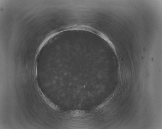 X0000085041368200703121423