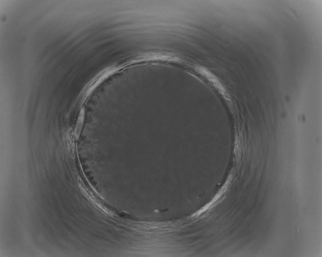 X0000085041369200703121422