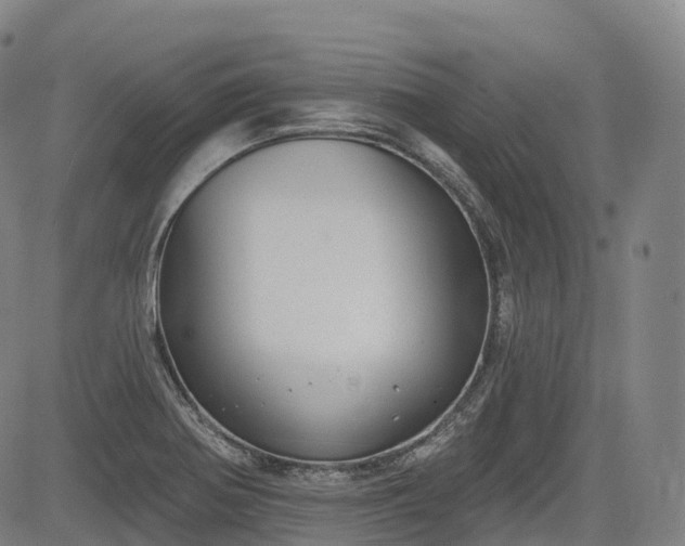 X0000085041370200703121422