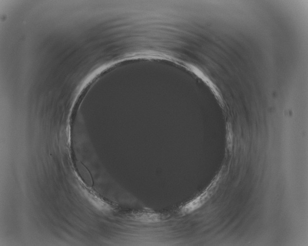 X0000085041372200703121422