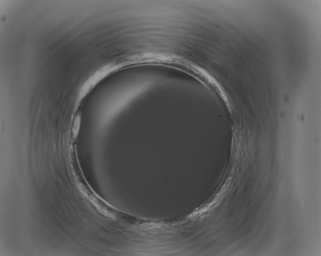 X0000085041373200703121422