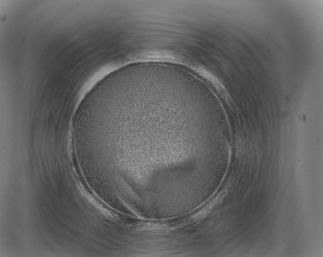 X0000085041374200703121422