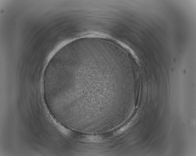 X0000085041375200703121422