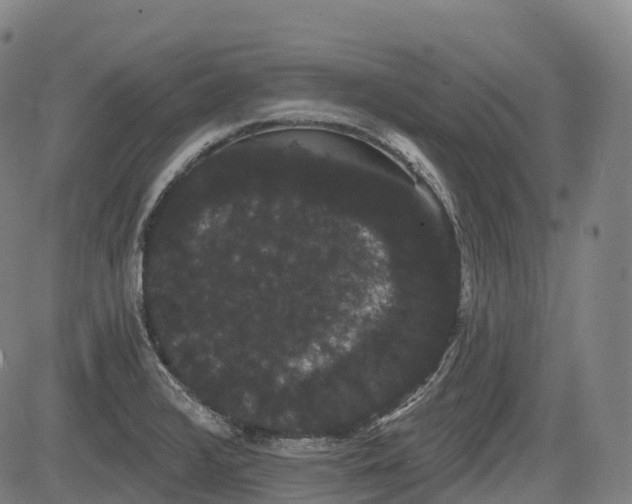 X0000085041376200703121422