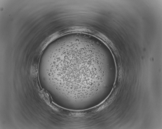 X0000085041377200703121422