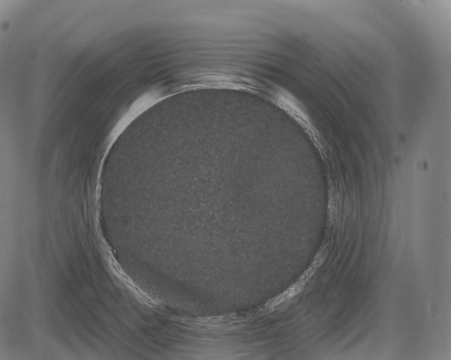 X0000085041378200703121422