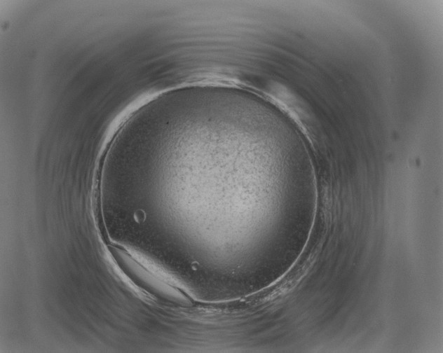 X0000085041379200703121422