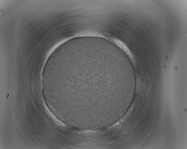 X0000085041380200703121422