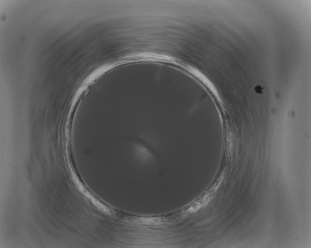 X0000085041381200703121422