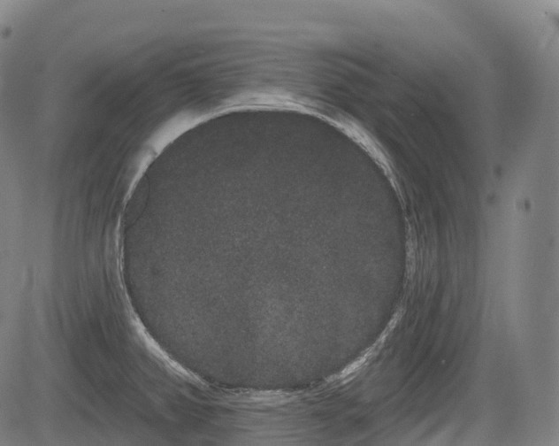 X0000085041382200703121422