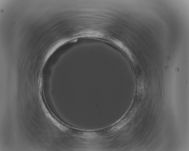 X0000085041383200703121422