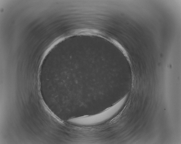 X0000085041384200703121422